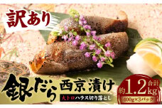 【訳あり】銀だら 大トロハラス（銀トロ）切り落とし 西京漬 約1.2kg