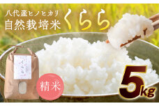 【先行予約】 《令和7年産》 自然栽培米 くらら 精米 5kg （八代産ヒノヒカリ） 【2025年11月下旬より順次発送】
