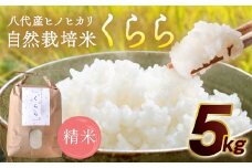 【先行予約】 《令和7年産》 自然栽培米 くらら 精米 5kg （八代産ヒノヒカリ） 【2025年11月下旬より順次発送】