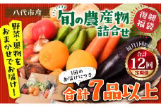 【12ヵ月定期便】八代市産！旬の農産物詰合せ 復興 福袋 7品以上
