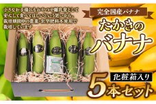たかきのバナナ 化粧箱 入り 5本 セット 果物 フルーツ ギフト 国産 熊本県産 朝食 スムージー 