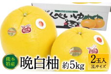 【先行予約】 熊本県八代市産 晩白柚 3Lサイズ 2玉入り 約5kg 果物 くだもの フルーツ 柑橘類 青果物 特産品 お取り寄せ 【2025年12月中旬より順次発送】