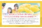 熊本県八代市特産の晩白柚は、その大きさが世界最大級を誇る柑橘類です。