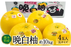 【先行予約】 熊本県八代市産 晩白柚 3Lサイズ 4玉入り 約10kg 果物 くだもの フルーツ 柑橘類 青果物 特産品 お取り寄せ 【2025年12月中旬より順次発送】