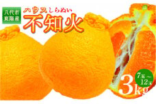 【先行予約】 八代市東陽産ハウス不知火 3㎏(7玉～12玉) 不知火 しらぬい 蜜柑 ミカン 柑橘 フルーツ 果物 旬 九州産 熊本県産【2026年1月下旬より順次発送】