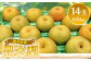 熊本県産　豊水梨　14玉（約5kg）