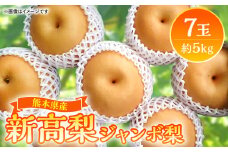 【先行予約】熊本県産　新高梨 ジャンボ梨 7玉 （約5kg）にいたか【2025年9月中旬より順次発送】