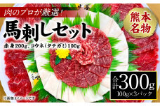 肉のプロが厳選！熊本名物！ 馬刺しセット (赤身200g、コウネ(タテガミ)100g) 計300g (馬さし お肉 馬肉 刺身 刺し身 馬刺し 赤身 コウネ 馬刺しブロック 馬刺し冷凍 おかず おつまみ 熊本県 八代市)