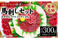 肉のプロが厳選！熊本名物！ 馬刺しセット (赤身200g、コウネ(タテガミ)100g) 計300g