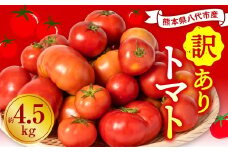 【先行予約】【訳あり】 八代市産 規格外トマト 約4.5kg 熊本県 八代市 特産品 規格外 トマト 野菜 やさい 新鮮 とまと 【2026年4月中旬より順次発送】