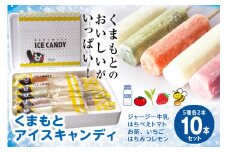 くまもと アイスキャンディ 10本セット