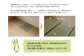 い草上敷き【清正】江戸間4.5畳