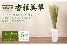 八代市 装飾い草「香雅美草」一束（長さ:約68cm×直径:約3.5cm・145g)x5本セット 熊本県産