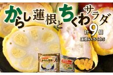 熊本名物 からし蓮根 4個・ちくわサラダ 5個 合計9個 辛子蓮根 