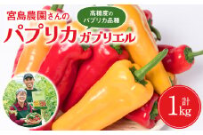 パプリカ ガブリエル 1kg 八代市産 宮島農園 野菜 新鮮野菜 緑黄色野菜 国産 熊本県産