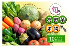 生産者直売所よりお届け！おまかせ旬のお野菜・果物セット！ おすすめ10品以上