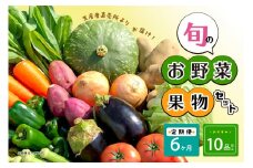 【毎月6ヶ月定期便】生産者直売所よりお届け！おまかせ旬のお野菜・果物セット！ おすすめ10品以上
