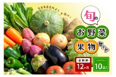 【毎月12ヶ月定期便】生産者直売所よりお届け！おまかせ旬のお野菜・果物セット！ おすすめ10品以上