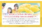熊本県八代市特産の晩白柚は、その大きさが世界最大級を誇る柑橘類です。