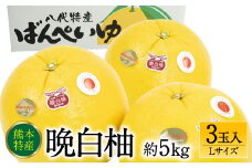 【先行予約】 熊本県八代市産 晩白柚 Lサイズ 3玉入り 約5kg 果物 くだもの フルーツ 柑橘類 青果物 特産品 お取り寄せ 【2025年12月中旬より順次発送】