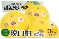 熊本県八代市産 晩白柚 Lサイズ 3玉入り 約5kg 