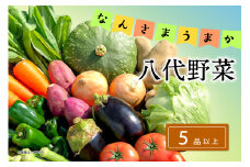 なんさまうまか八代野菜セット 5品以上 やさい 詰め合わせ 熊本県産