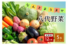 【定期便12回】なんさまうまか八代野菜セット 5品以上 やさい 詰め合わせ 熊本県産