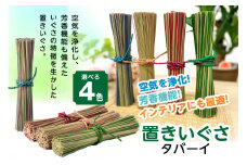 【4色から選べるカラー】置きいぐさ（タバーイ）ピンク