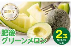 【先行予約】高糖度 2026年 八代産 肥後グリーンメロン 3Lサイズ以上 2玉 化粧箱入 お中元 夏 ギフト メロン めろん フルーツ 期間限定 【2026年5月中旬より順次発送】