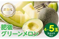 【先行予約】高糖度 2026年 八代産 肥後グリーンメロン 3Lサイズ以上 4～5玉 化粧箱入 お中元 夏 ギフト メロン めろん フルーツ 期間限定 【2026年5月中旬より順次発送】