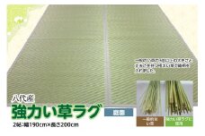 強力い草ラグ【庭園】2帖 幅190cm×長さ200cm 八代市産