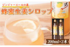 生姜の方程式 シロップ ジンジャーエール の素 計400ml（200ml×2本）