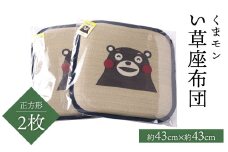 くまモン い草座布団 正方形2枚 八代市産