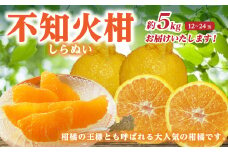 【先行予約】 不知火柑 （デコポンと同品種） 約5kg 12～24玉 しらぬい 柑橘 果物 くだもの フルーツ 熊本県 【2026年1月下旬より順次発送】