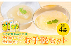 熊本県 八代市産 晩白柚ペースト「マキシト」& 晩白柚ゼリー「マキシトゼリー」『お手軽セット』（合計860g） ばんぺいゆ 柑橘 手作り