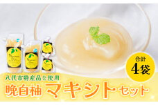 熊本県 八代市産 晩白柚 ペースト「マキシト」セット（合計1010g） ばんぺいゆ 柑橘 手作り