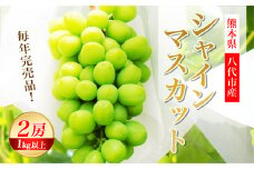 シャインマスカット 2房 1.0 kg以上