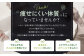 DAYS SOY PROTEIN 抹茶ラテ 風味 計500g（250g×2袋）
