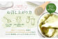 DAYS SOY PROTEIN 抹茶ラテ 風味 計3kg（250g×12袋）