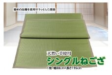 シングル ねござ 幅88cm×長195cm 寝ござ い草