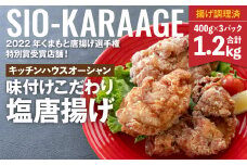 味付け こだわり 塩唐揚げ  計1.2kg ジューシー お肉 唐揚げ