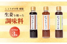 しょうがの里東陽 生姜を使った調味料 3本セット