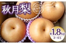 【先行予約】秋月梨 約1.8kg (3~6玉) 梨 なし 秋月（ 梨 秋月 秋月梨 和梨 旬の梨 フルーツ 季節のフルーツ 旬のくだもの 季節の果物 ）【2025年8月下旬より順次発送】