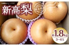 【先行予約】新高梨 約1.8kg（3~6玉） 梨 なし  新高 【2025年9月上旬より順次発送】