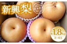 【先行予約】新興梨 約1.8kg（3~6玉）梨 なし 新興（ 梨 新興 新興梨 和梨 旬の梨 フルーツ 季節のフルーツ 旬のくだもの 季節の果物 ）  【2025年10月上旬より順次発送】