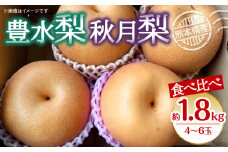 豊水梨 ・秋月梨 食べ比べ 約1.8kg (4~6玉) 梨 なし 豊水 秋月 （ 梨 豊水 豊水梨 秋月 秋月梨 食べ比べ セット 和梨 旬の梨 フルーツ 季節のフルーツ 旬のくだもの 季節の果物 ）