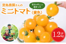 ミニトマト (黄色) 1.2kg 八代市産 宮島農園 トマト 甘い サラダ