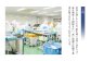 熊本県産 あか牛ハンバーグ 960g (120g×8個)