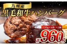 九州産 黒毛和牛ハンバーグ 960g (120g×8個)