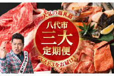 【3回定期便】八代三大人気定期便